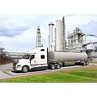 Mettler Toledo 61806969001 7541 Truck Scale