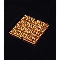 Ledil C19682_AMBER-16-SCL Polymethyl Methacrylate Multi-Lens Type II/III Beam-Very Wide Pole to Pole