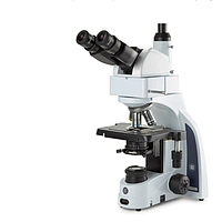 Euromex IS.1159-PLi iScope with binocular 5-35° ergonomic tilting head (EWF 10x/22 mm, 4/10/S40/S100x)