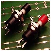 E-Switch PS1024ANOCAP Standard Switches 3A 125VAC Off-(On) No Cap