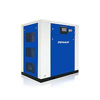 Denair DWW-44 Oil-free Scroll Air Compressor (4.69 / 4.29 m³/min;  60hp)