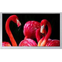 Riverdi RVT70HSMFWN00 TFT Displays MIPI, , HB, IPS, Metal Frame