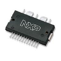 NXP AFIC31025NR1 Power Amplifiers Airfast RF Power Integrated Power Amplifier, 25 W Pulse over 2400-3100 MHz, 32 V
