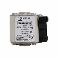 Eaton Bussmann 170M3466 High Speed Fuse 250A 690V 1*BKN/50 AR UC