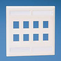 Panduit NK8FEI Wire Ducting & Raceways Flush Mount Screw-On Faceplates With Lab