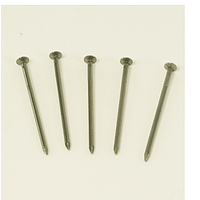 PHYWE 06534-01 Nails For High-Current Transformer (50 pcs)