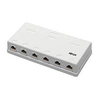 Tripp Lite N236-006-WH - 6PT CAT6 SURFACE BOX, WHITE