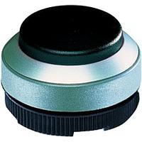 RAFI 1.30.250.301/0107 Keylock Switches