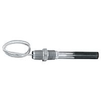 OMEGA RIN-25/120V Incoloy or SS Immersion Heater 0.5 in or 0.75 in NPT Small tanks (250 W, 35 W/in²)
