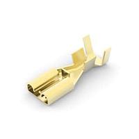 AMP Connectors - TE Connectivity 1217092-1 Tab 250 POSI-LOCK RECP