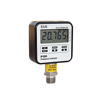 EiUK P100-1G Digital Pressure Test Gauge (-1 ~ 1 bar)