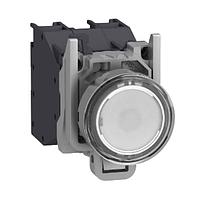 SCHNEIDER XB4BP183BM5GEX Flush HAZ LOC PUSHBUTTON SWITCH, 24- 240 Vac/dc, CONTACTS 2 N.O., White, -40 +70 , IP66