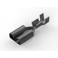 AMP Connectors - TE Connectivity 5-160558-2 (CUT STRIP) Receptacle RECPT 6.35 x 0.81 mm Cut Strip of 100