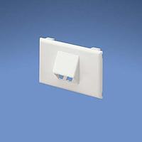 Panduit T70FH2EI Power Rated Fitting Snap-on Horizontal Sloped Communication