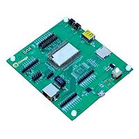 Development Boards & Kits