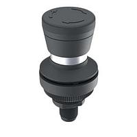 RAFI 1.11.061.001/0001 Pushbutton Switches RAMO 30 T M12 2 unbel. 4-pol