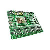 Development Boards & Kits