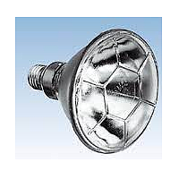 PHYWE 06759-93 Filament Lamp (220V/120W)