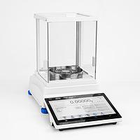 RADWAG AS 310.5Y Analytical Balance (310g, 0.1 mg)