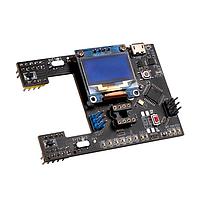 Development Boards & Kits