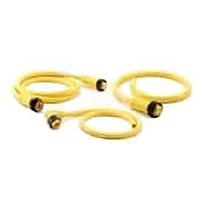 Amphenol SINE Systems MN43A4AC01M030 Sensor Cables / Actuator Cables 4 Pin Mini Male St Plug/Female Plug 3 M