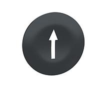 SCHNEIDER ZBA7235 Switch Bezels / Switch Caps BLACK CAPS WITH WHITE ARROW