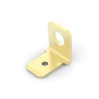 AMP Connectors - TE Connectivity 181953-1 Tab FASTON TAB 250 SER BRASS