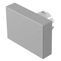 EAO 51-901.8 Lens PSHBUTN ACT 40MM W-ALM NATURAL