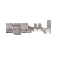 Aptiv 12066639-L Terminals TERM LAMP SKT WDGE FEM