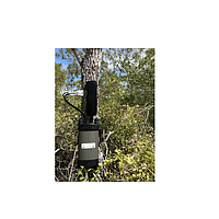 ICT International SFM1x-C Sap Flow Meter with IoT connectivity (-70 ~ +70 cm hr-1)