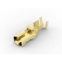 AMP Connectors - TE Connectivity 170234-2 Receptacle POSITIVE LOCK REC