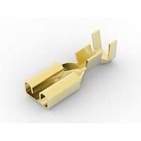 AMP Connectors - TE Connectivity 170037-1 Receptacle .187 FASTON REC 20-