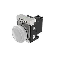 EAO 45-1T00.20N8.000.100 Indicators (45-1T00.20N8.000.100)