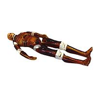 True Phantom Solutions FB-A03 Adult Full Body For X-Ray CT, US