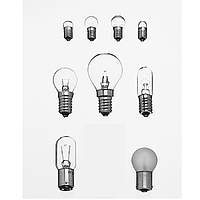 PHYWE 06154-00 Lamp (4 V/0, 04 A, E 10)