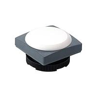 RAFI 1.74.508.051/2600 Solid State Indicator RAFIX 22 FS Plus Signal indicator Blu