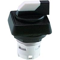 RAFI 1.30.073.740/0200 Switch Housings RAFIX 16 Selector switch 2x60