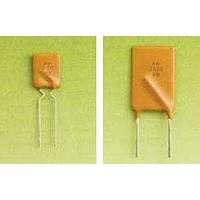 Bel Fuse 0ZRB0300FF1A Slow Blow Fuse