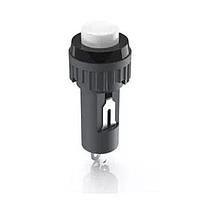 RAFI 1.10107.0110205 Pushbutton Switches