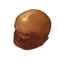 True Phantom Solutions HD-N01 Newborn Head (Complex) For X-Ray CT, US, MRI
