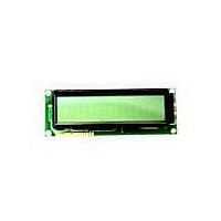 Lumex LCM-S01602DSF/D-Y LCD Character Display Modules InfoVue Std 16x2 STN, Transf w/bklght