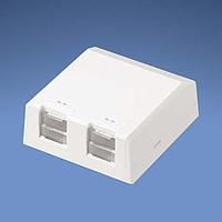 Panduit CBXS2IG-A Surface Mount Box Surf Mount Box 2 Port Shuttered In