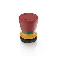 RAFI 1.30273.5020300 Emergency Stop Switches