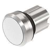 EAO 45-2231.21N0.000 Switch Actuators Metal 2Pos WHT LED Momen