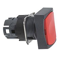 SCHNEIDER ZB6DA4 Momentary 16MM PB 65168-010