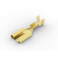 AMP Connectors - TE Connectivity 41968-2 Receptacle RECP, 250 SERIES FASTON