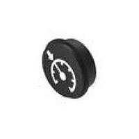 EAO 09-0S12.2047 Keypad Symbol Insert 09.Caps Color Black.Backlight Color White.2047, Cruise Control