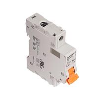 Weidmuller 2480150000 Thermal-Magnetic MCB 1077 1P C 20A ACDC