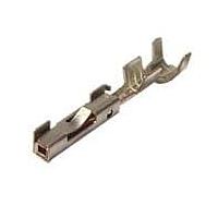 Aptiv 12131423 Terminals FM TIN .8 SERIES CBL RN 1.00-.50MM2