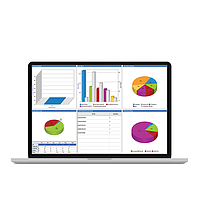Netally AM/A1150G-3YS Gold Support